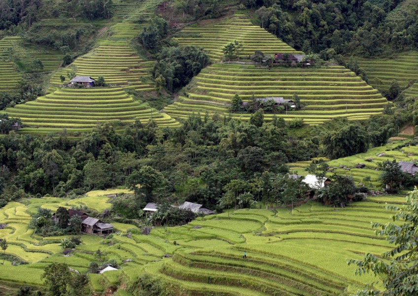 Kitoku Shinryo to expand its rice varieties in Vietnam