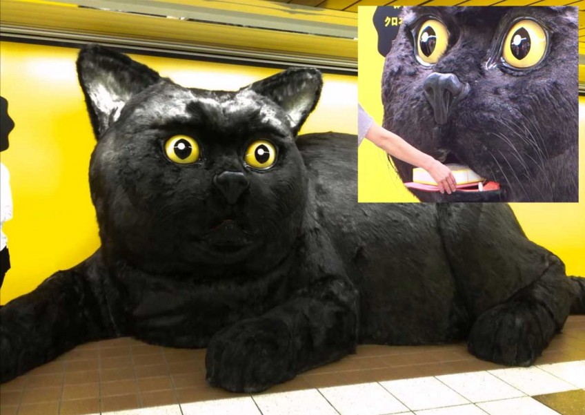 Giant black cat in Japan train station gives gifts in exchange for nose rubs
