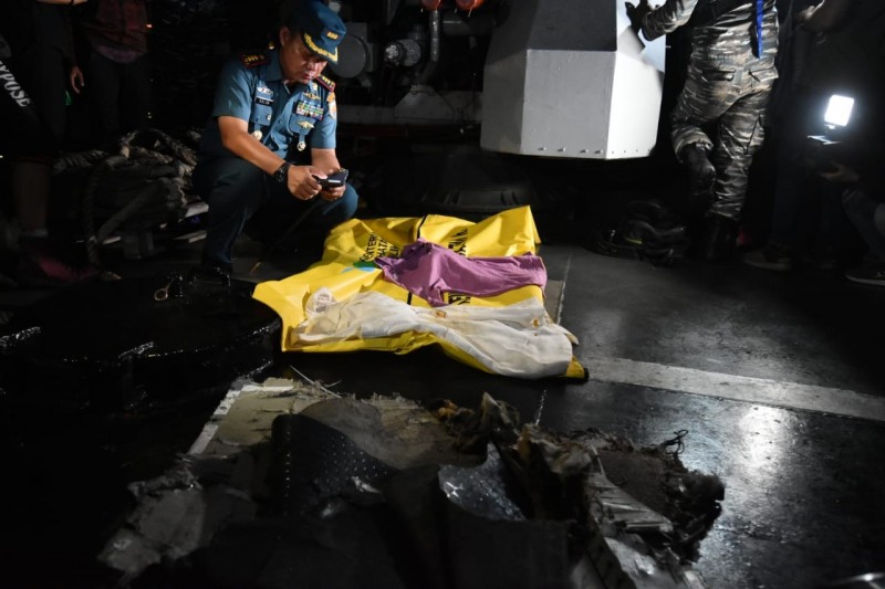 Indonesia reportedly removes Lion Air director, dismisses technicians over plane crash