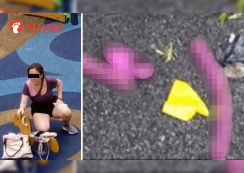 Woman discards sex toys near playground after illegally feeding birds, Punggol resident claims