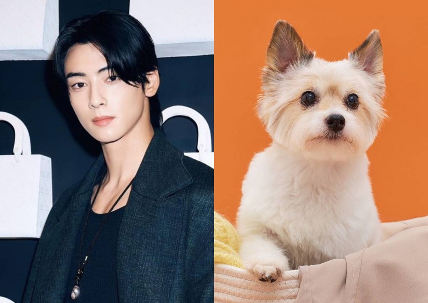 ASTRO's Cha Eun Woo Reveals He Tasted Pet Food For Kiss Scene With A Dog In  New Drama 'A Good Day To Be A Dog': I Felt Like I Was A Puppy