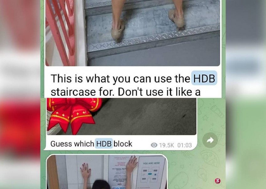 Exposed: Telegram group circulates videos of people engaging in lewd acts around HDB estates