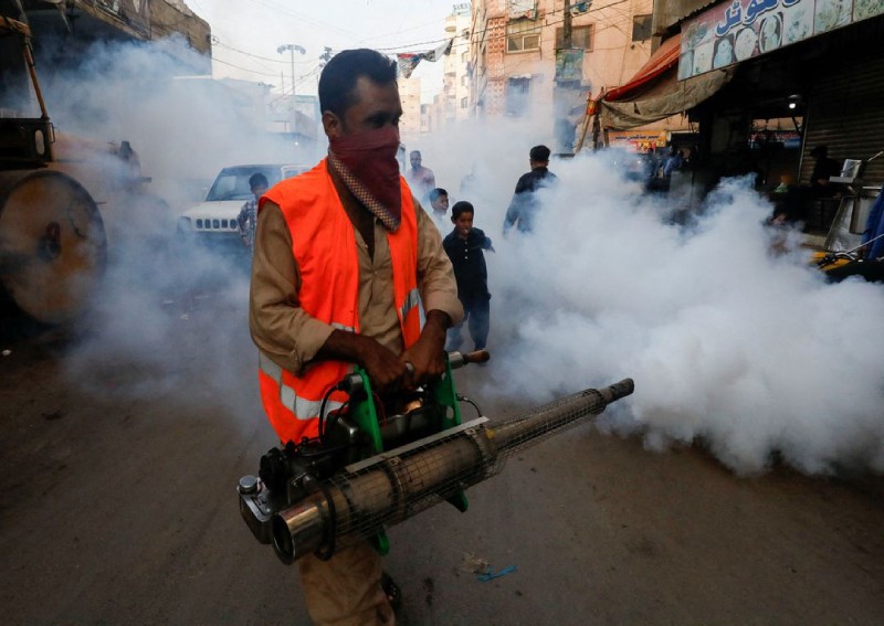 Dengue will 'take off' in southern Europe, US, Africa this decade, WHO scientist says