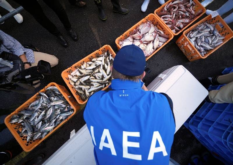 Scientists test Fukushima fish after nuclear plant water release
