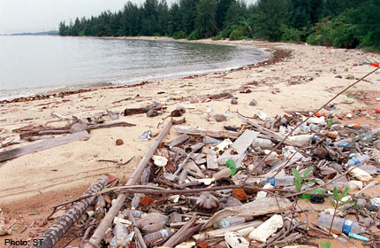 Beach-goers, clean up your act