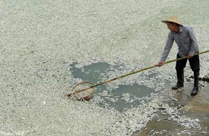 Chinese chemical company apologises for fish-killing toxic spill