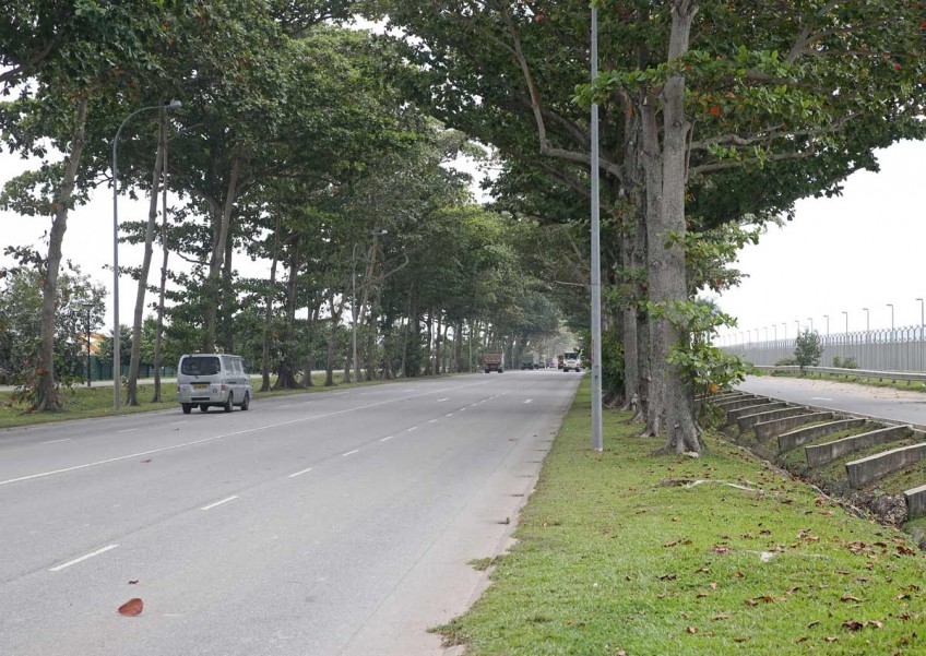 Road to replace Changi Coast Road to open next year