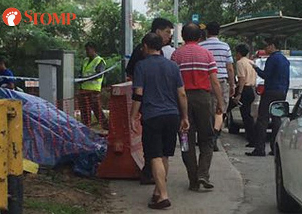 Singaporean worker dies in Kranji Loop workplace incident