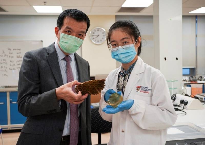 Singapore scientists turn discarded durian husks into antibacterial bandages