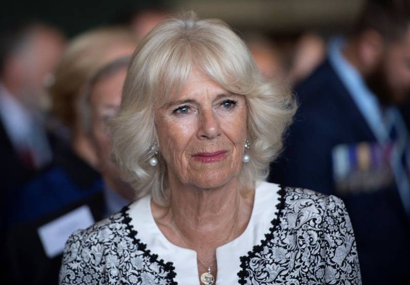 From 'Rottweiler' to Queen Consort, Camilla's rise from shadow of Diana
