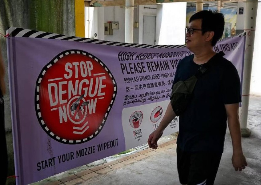 Risk of surge in dengue cases as previously dominant virus strain rapidly spreading: NEA 