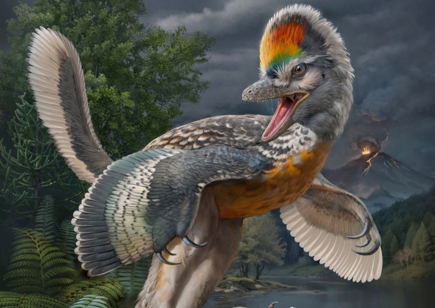 'Bizarre' long-legged bird-like dinosaur has scientists enthralled