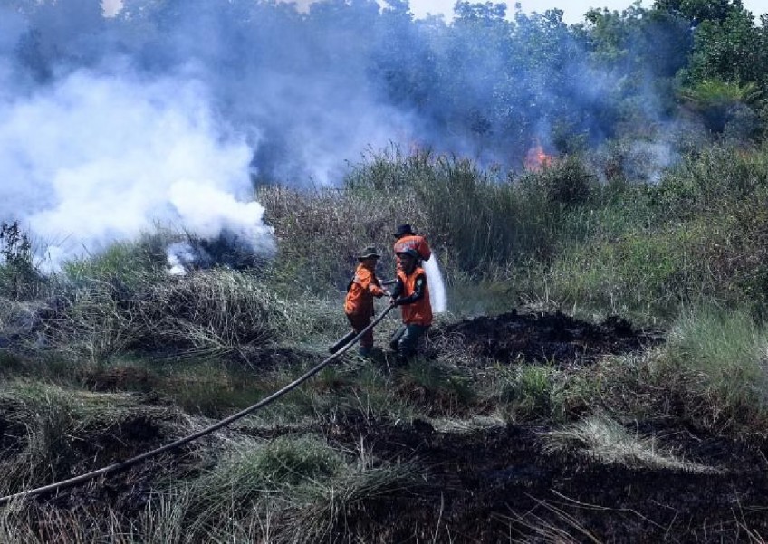 More hot spots in Indonesia this week: Is the haze back in Singapore?