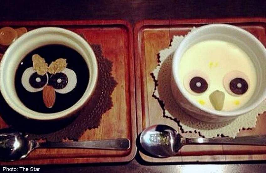 Owl Cafe Osaka - It's a hoot!