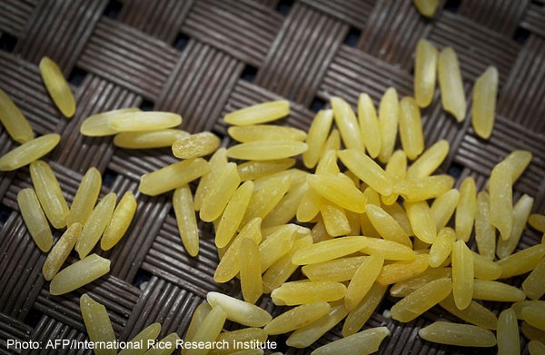 The long, slow march of 'biofortified' GM food 