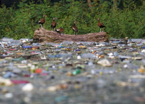 Global plastic treaty talks are happening: What do stakeholders want?