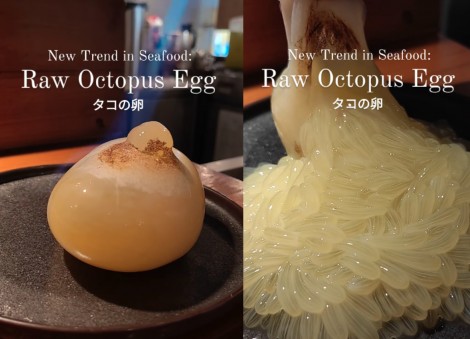 'You don't have to eat everything': Raw octopus eggs sold at Japanese sushi bar in Singapore draw mixed reactions