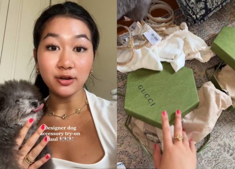 'Even the dogs are rich': Expat influencer's designer dog-accessory haul sets netizens' tongues wagging