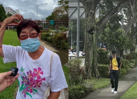 Bishan residents warn public against using path after 'vicious, unprovoked' crow attacks; NParks says they'll trap birds