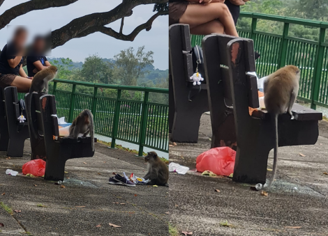 Man posts photo accusing couple of feeding macaques in reservoir, gets chided by netizens