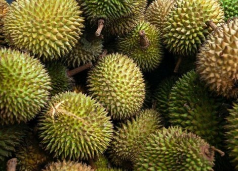 Cheaper durians this year? Malaysia to see bumper crop amid hot weather