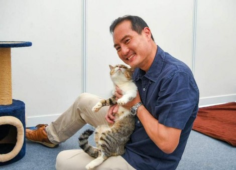 Cats may finally be allowed in HDB flats but must not impact public health: Tan Kiat How