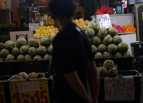 Durians galore: Bumper crop expected, season to last longer due to heatwave in Malaysia