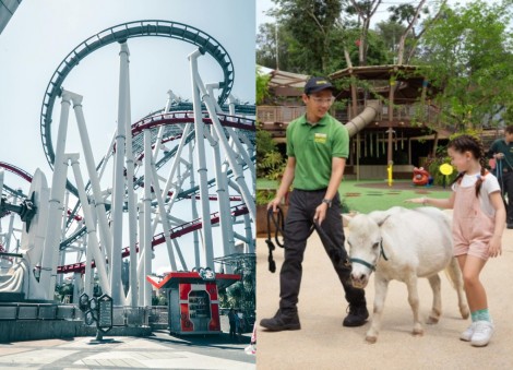 Singapore's Universal Studios, zoo and Gardens by the Bay in top 50 list of global attractions travellers want to revisit