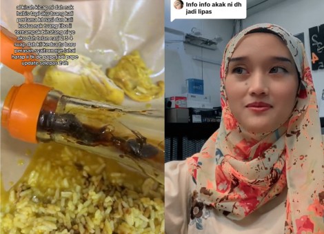 Small bottle, big roaches: Large insects found in soy sauce bottle horrifies woman in Malaysia